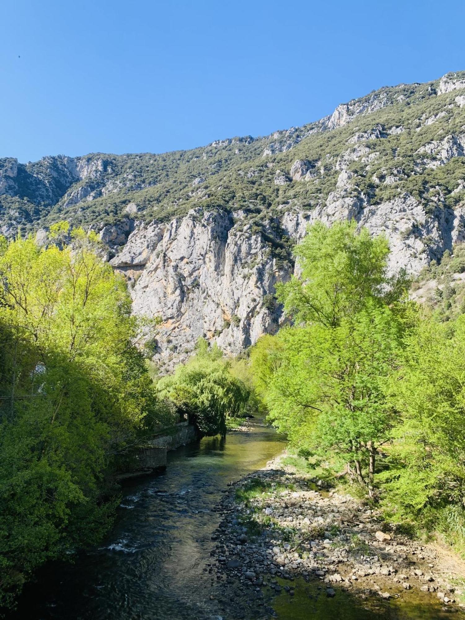 Aude Escape Panzió Saint-Martin-Lys Kültér fotó